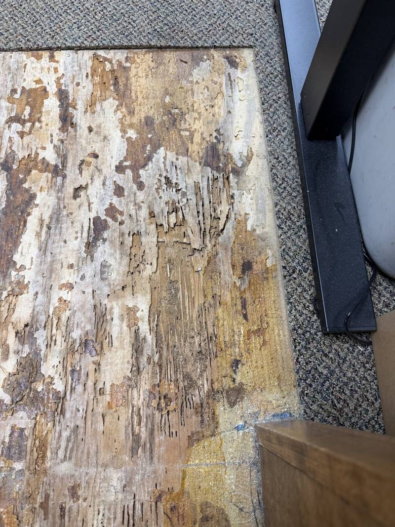 Before: Rotted, termite-damaged floor