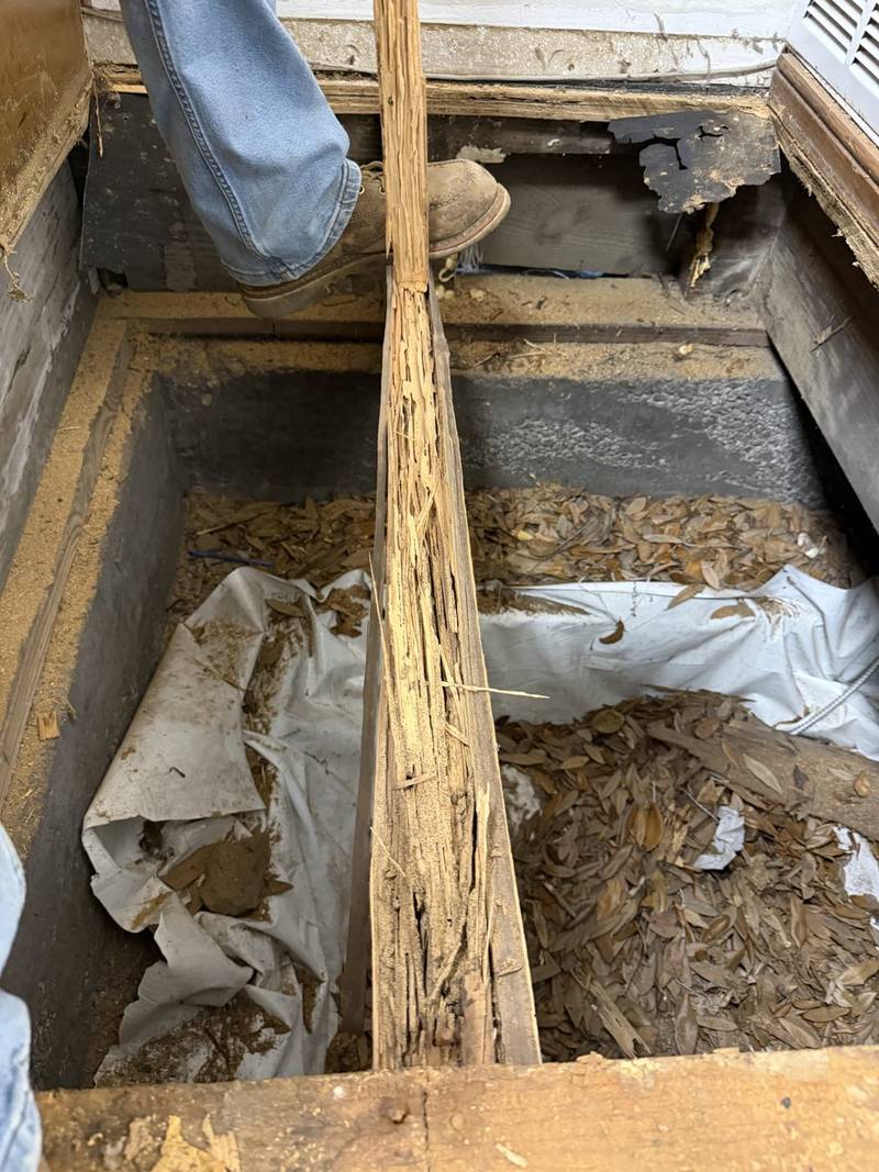 Before: Floor opened up showing damaged framing
